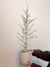 Ceder kunstboom met verlichting op batterijen van 100 cm hoog – sfeervolle decoratie voor binnen