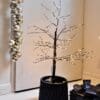 zwarte kerstboom met lampjes 60 cm hoog voor binnen en buiten