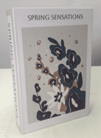 Decoratief opbergboek voor koffietafel 30 x 21 cm met verborgen opbergruimte