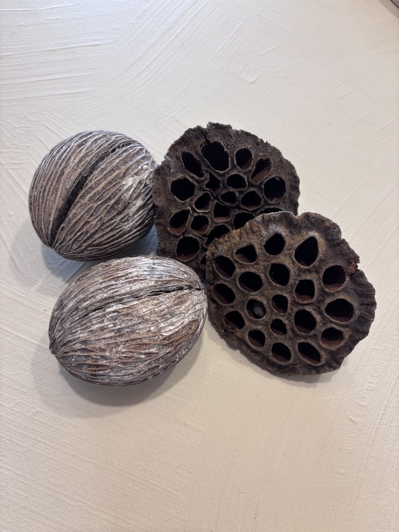 Set natuurlijke decoratie met Bol Mintolla en Lotus voor een sfeervol interieur