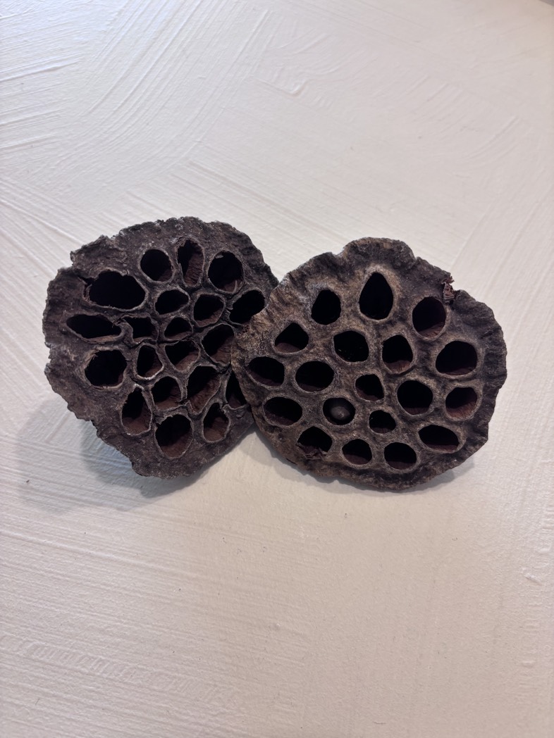Natuurlijke Deco - Afbeelding 4