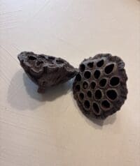 Natuurlijke Deco - Afbeelding 3