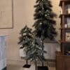 Kerstboom op stam