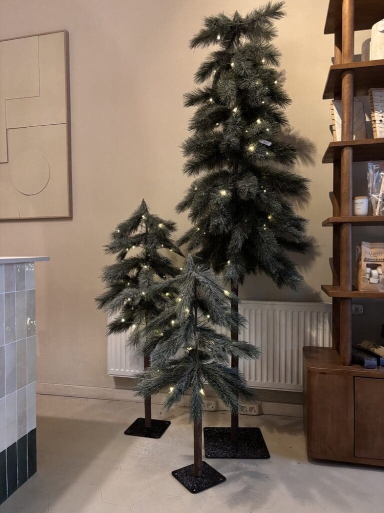 Kerstboom op stam