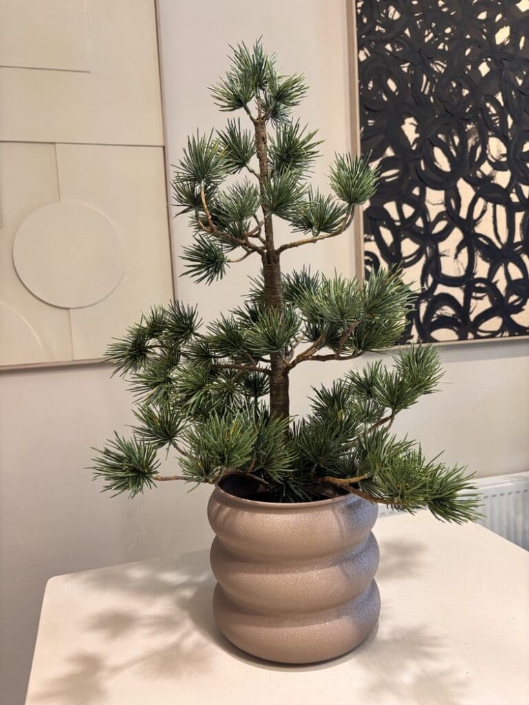 Groene kerstboom Pinus van 67 cm hoog