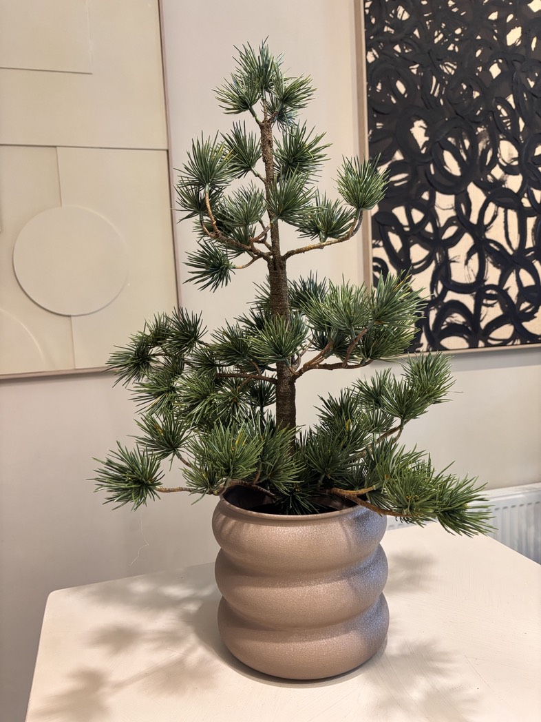 Groene kerstboom Pinus van 67 cm hoog